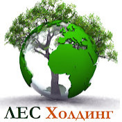 Игорь Лес-Холдинг.РФ