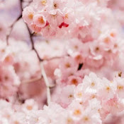 Лиза Третьякова