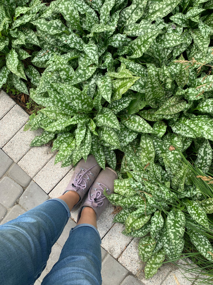 Таргайские усадьбы