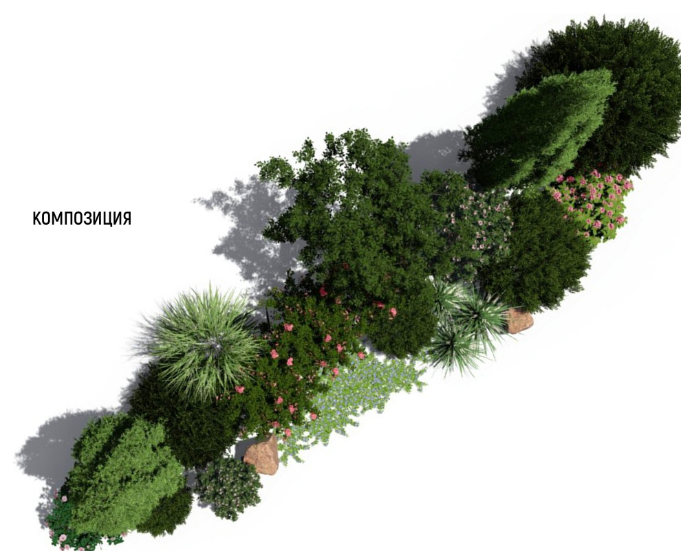 Обложка проекта: Розовое утро