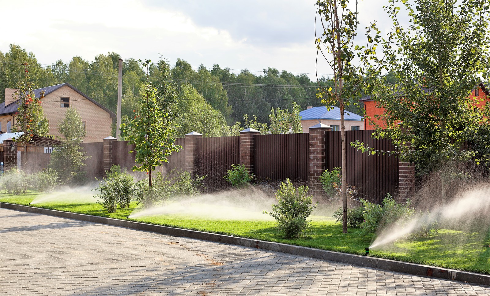 Вавиловец 1