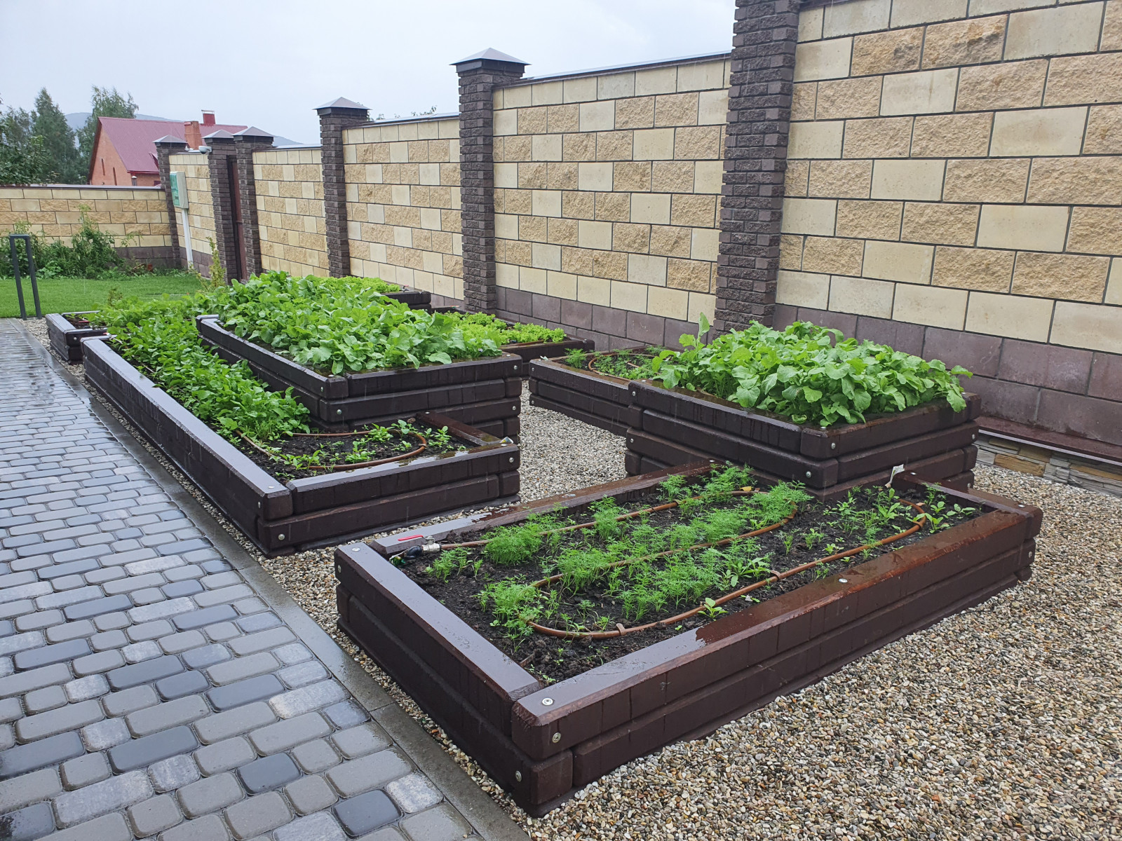 Натуральное дерево в саду