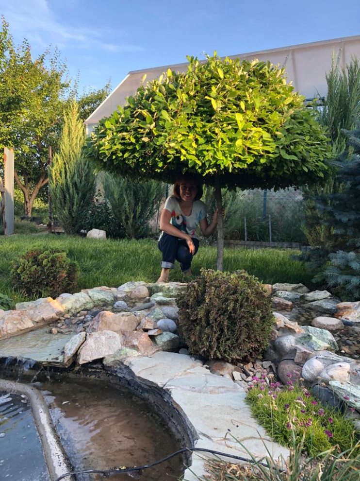 Обложка проекта: Альпийская горка Ростове