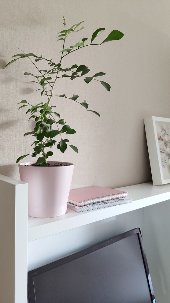 Спальня-гостиная 17.2 кв.м.