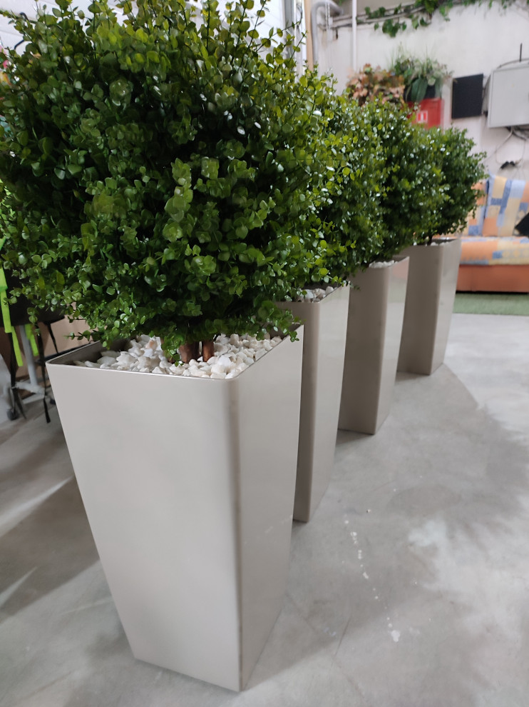 Растения для офисного пространства