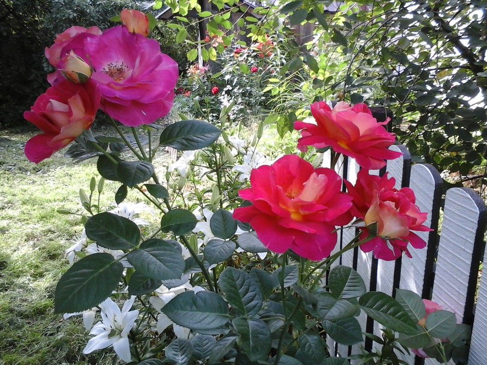 Обложка проекта: Оформление