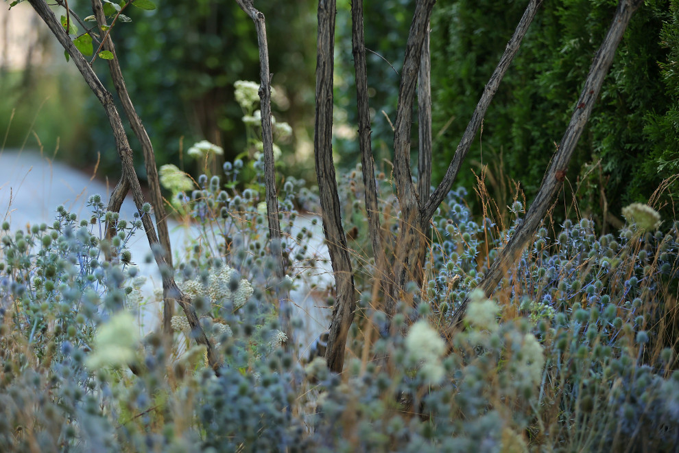 Сад "ГИПНОС" - ГРАН-ПРИ фестиваля "Сады и Люди"-2022