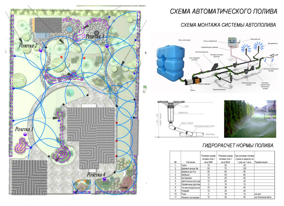В гармонии с природой