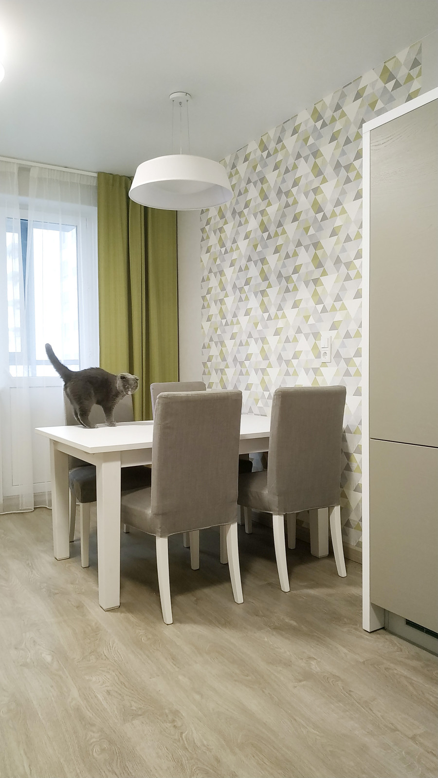 #котики_idelena или  Как сфотографировать кухню без кота?