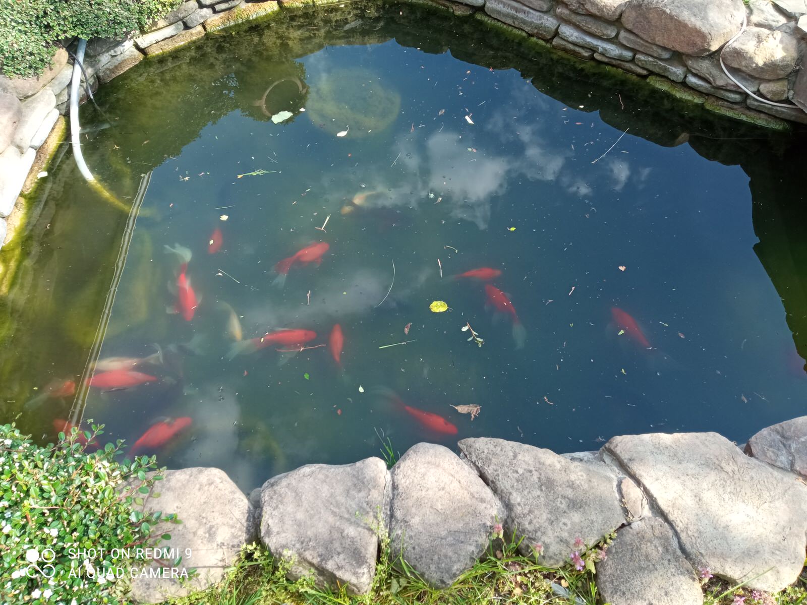 Обложка проекта: озеленение, автополив, водопад, пруд, дорожки