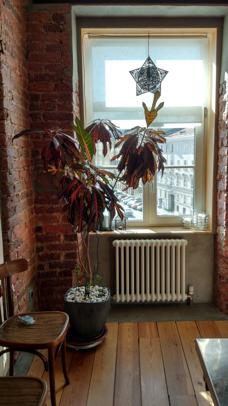 Кварира на канале Грибоедова