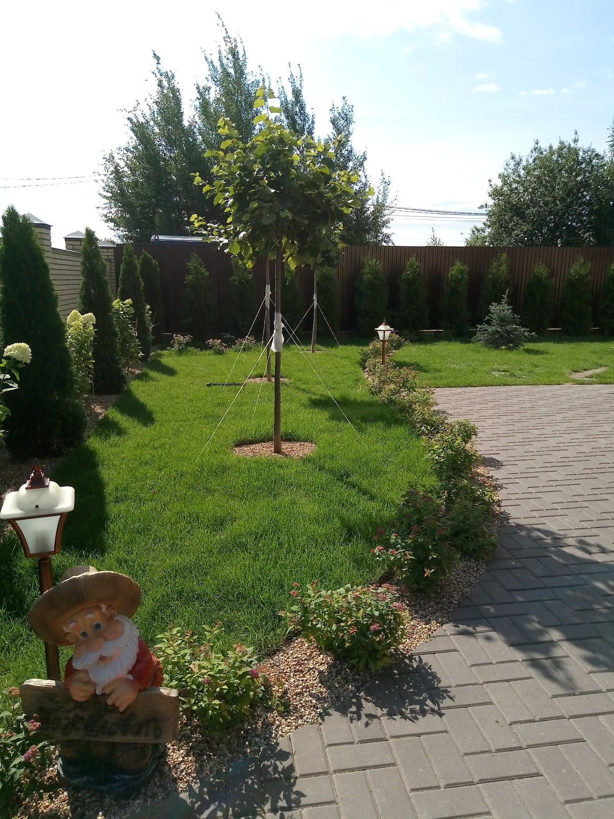 Зелёное удовольствие