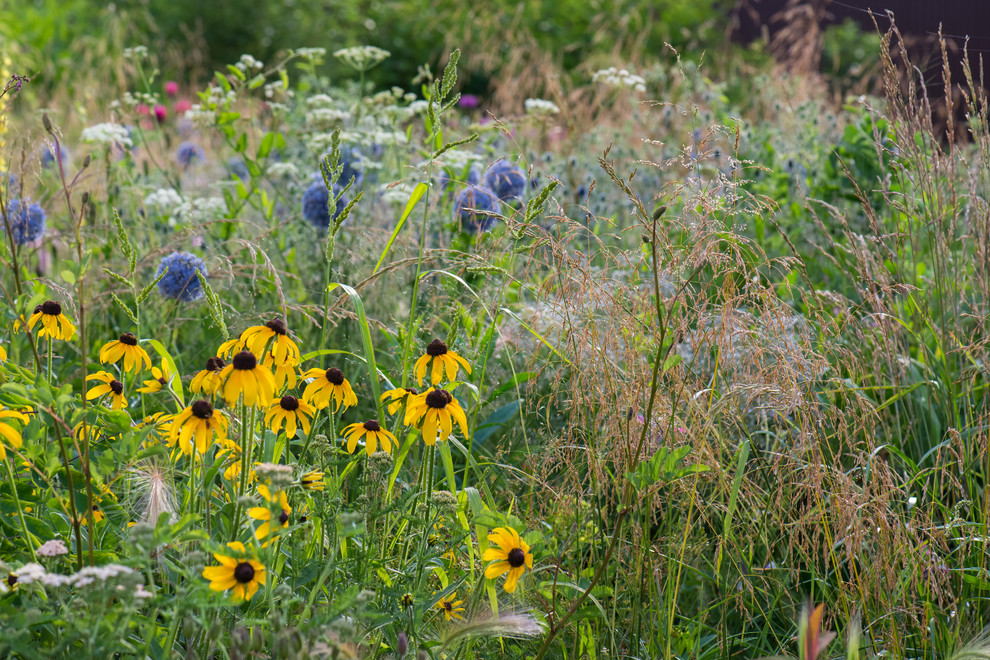 Обложка альбома: Идеи пользователя Марат