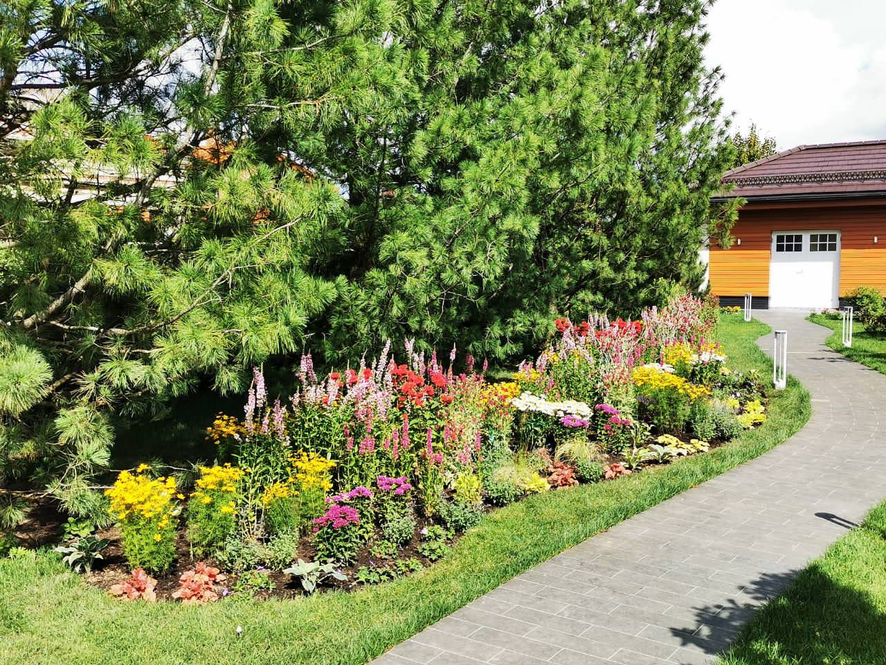 КП Пестово "Evergreen'