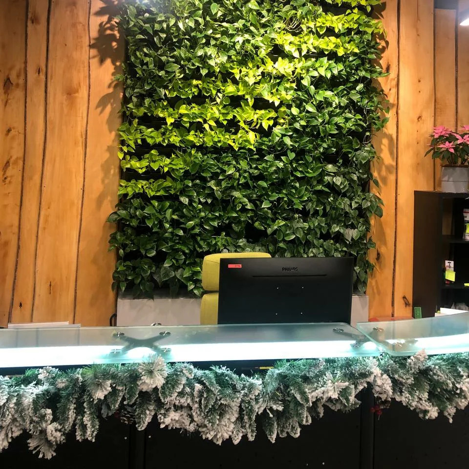 Обложка проекта: МАНГО Телеком