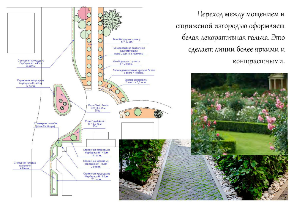 Дендрологический план