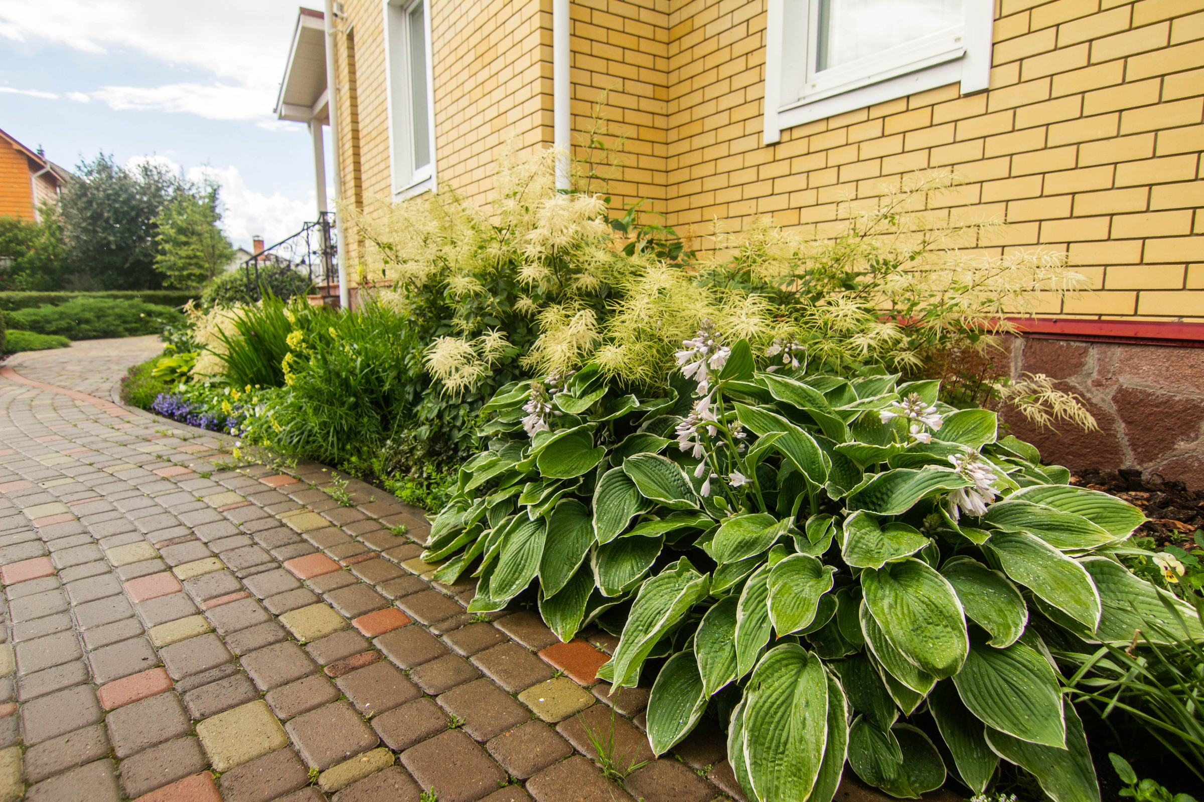 Сад с зеленой крышей