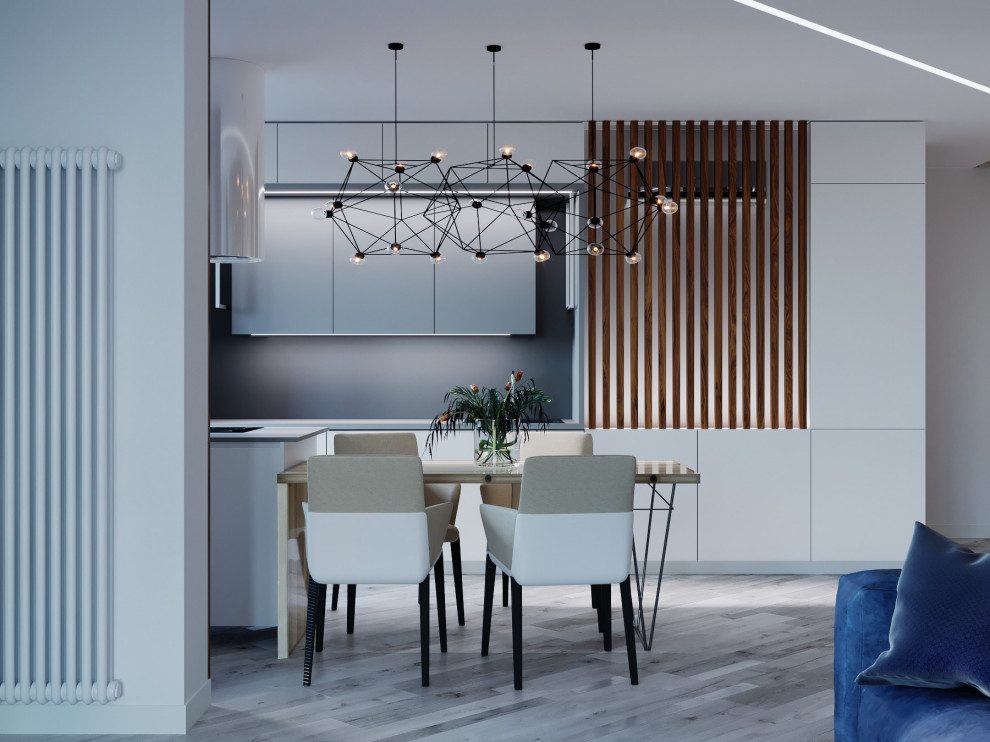 Квартира для молодого человека S = 100 кв. м.