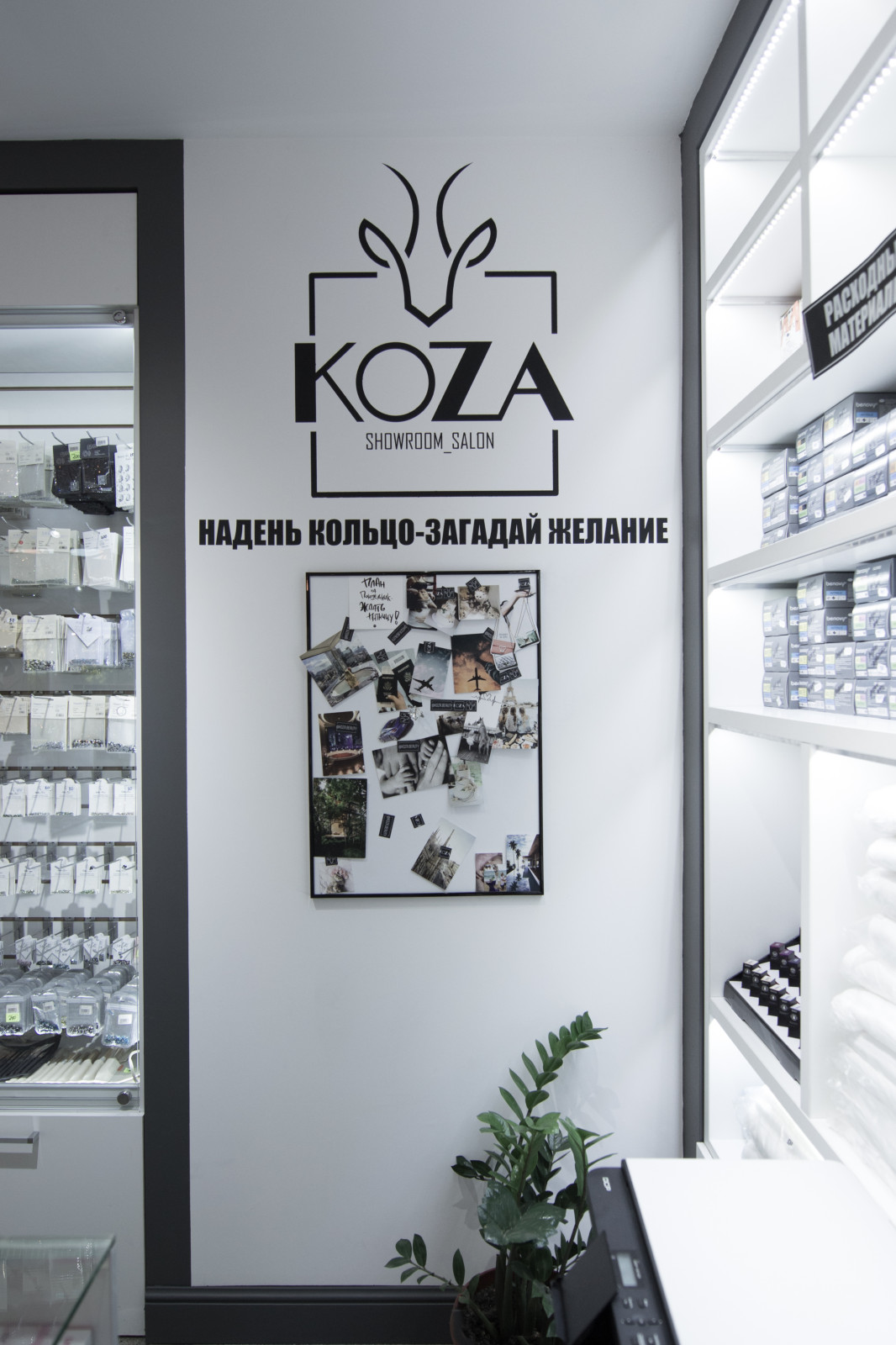 Koza