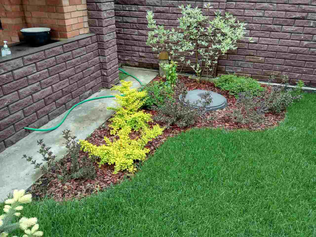 Ландшафтный дизайн