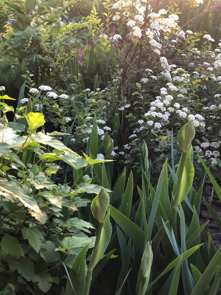 Проектирование цветников 2018-2020