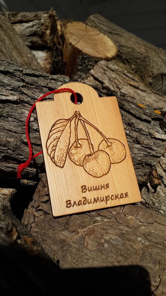 Идеи modnyegriadki