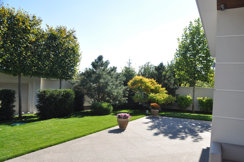 Private modern garden / Частный современный сад.