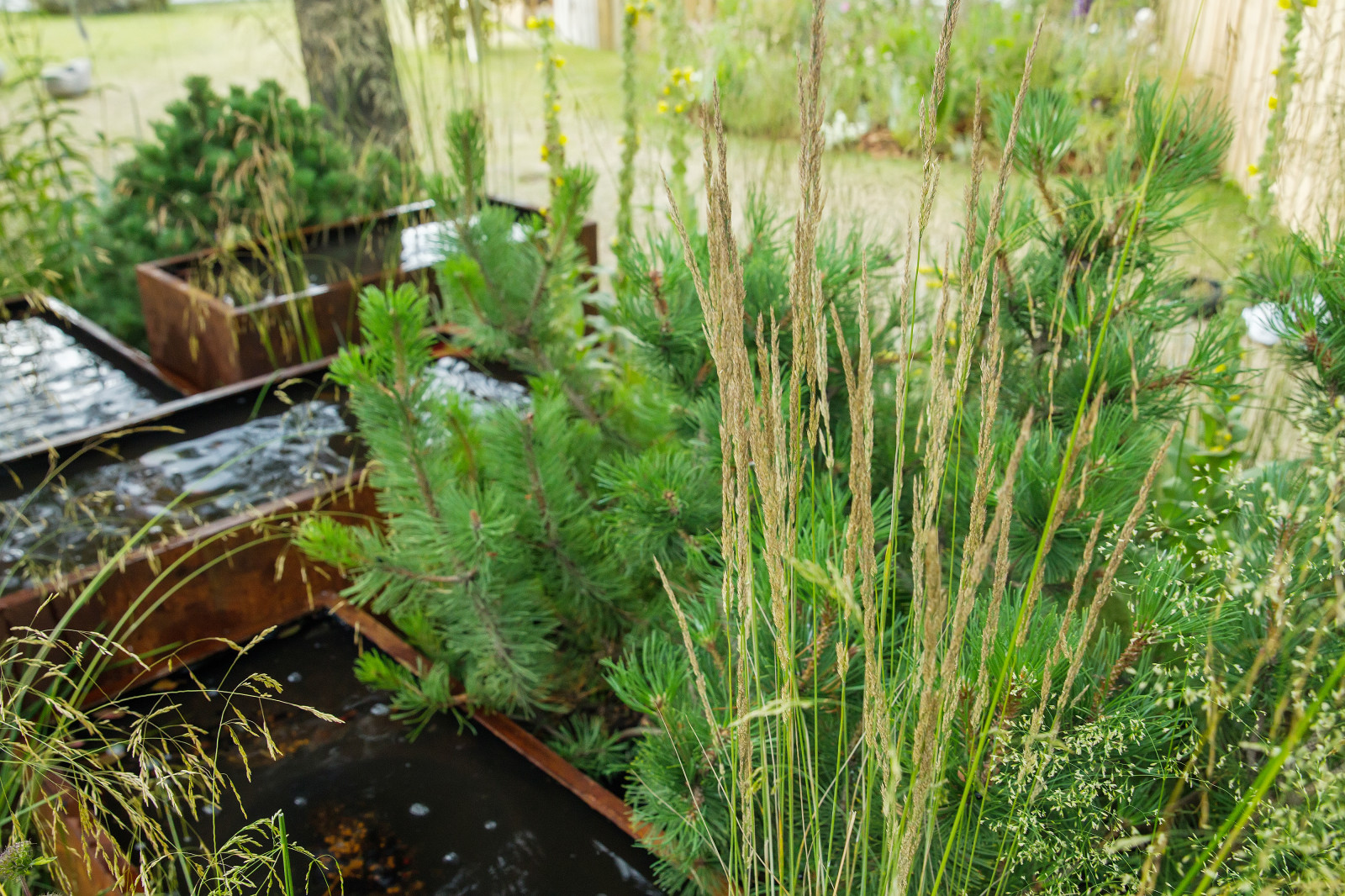 Сад   James Alexander-Sinclair  на Moscow Flower Show 2018  (вне  конкрса)