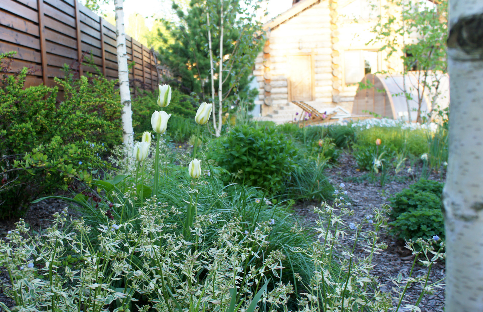 участок в Прохорово