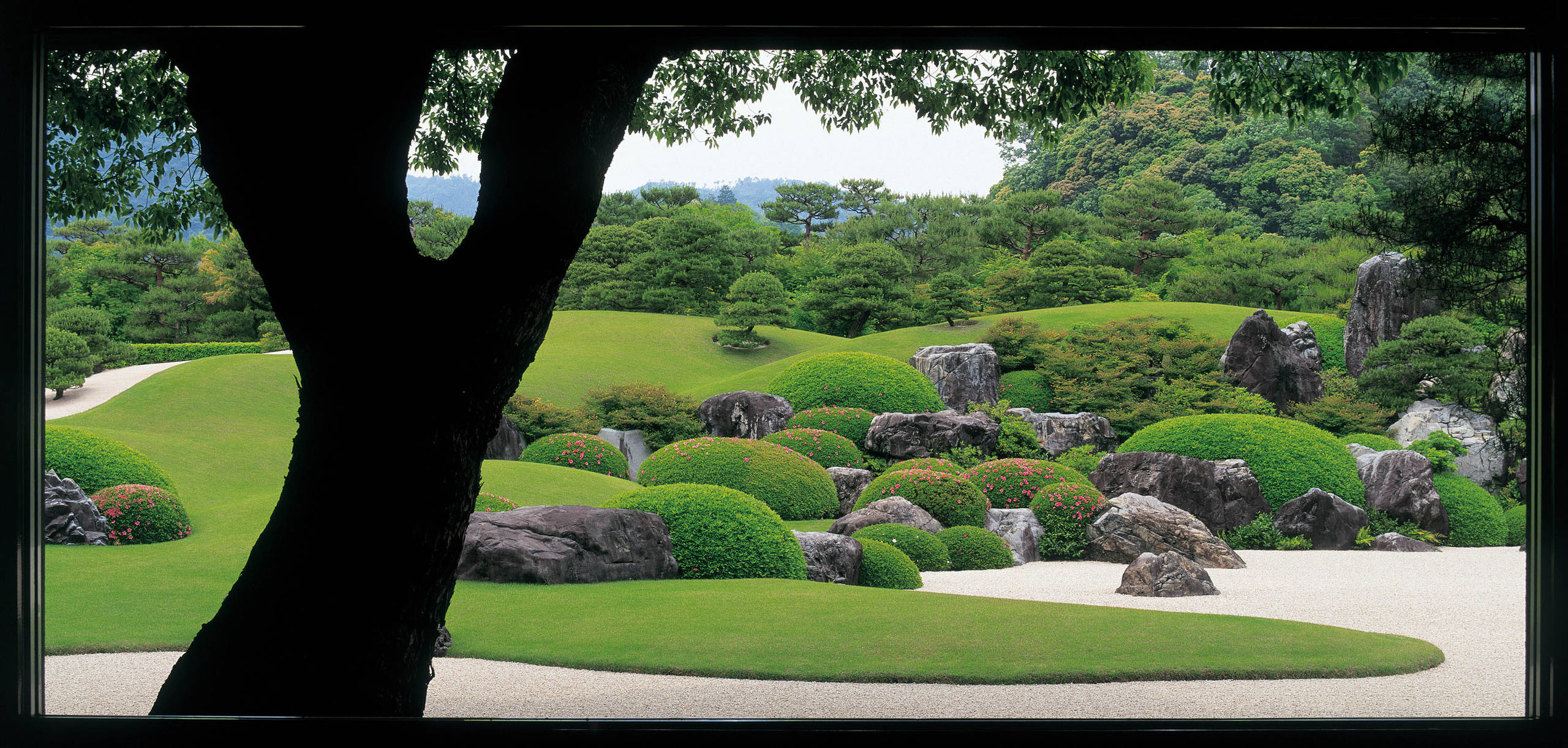 Проект недели: Сад как картина в художественном музее Адачи