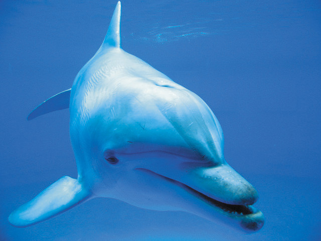 Фотопечать на потолках