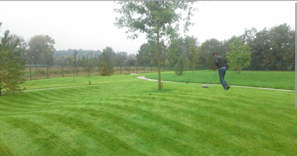 Посевной газон. Аэрация.