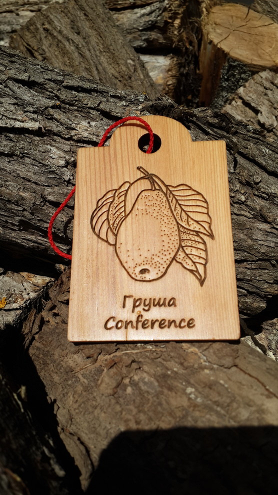 Идеи modnyegriadki