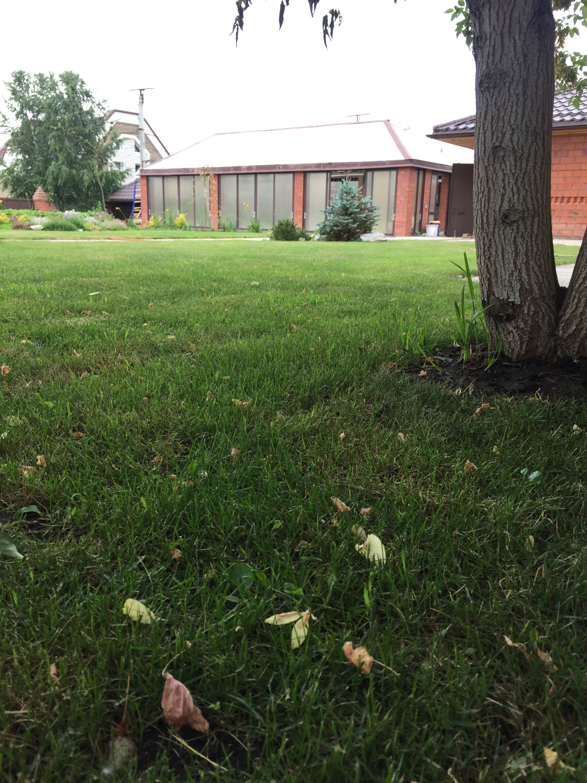 Обложка проекта: Наши работы