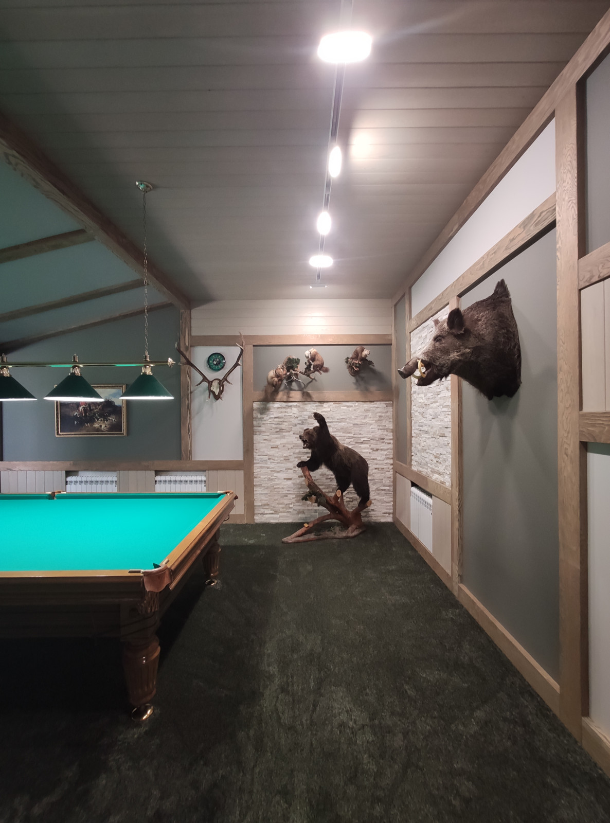 Обложка проекта: Бильярдная с трофеями