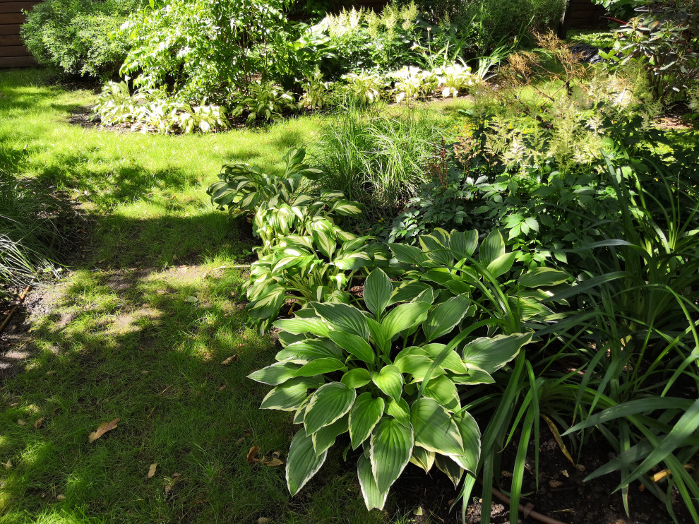 12 сот в лесу