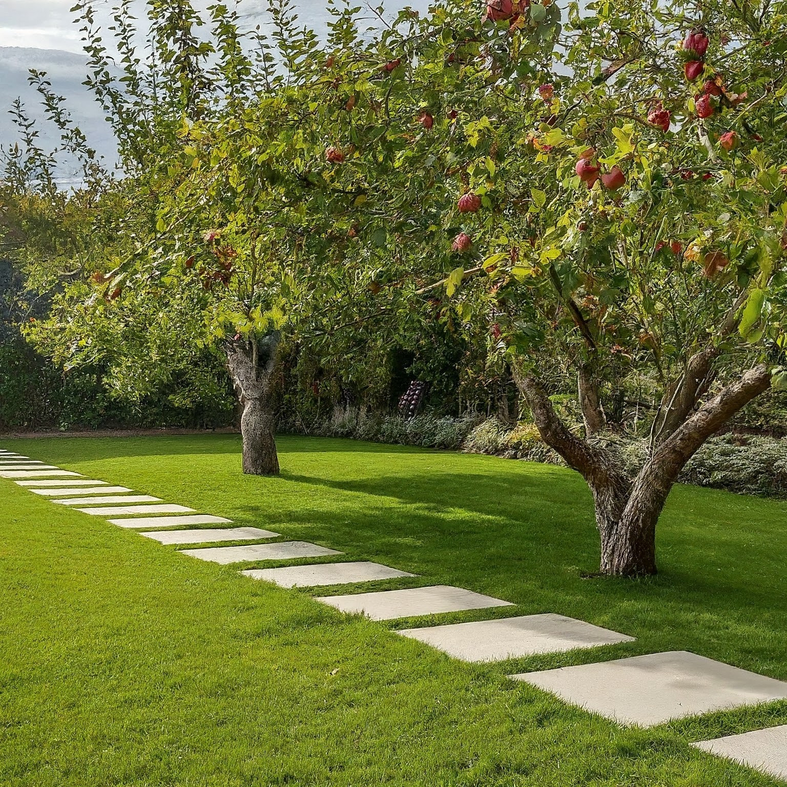 Частный сад 2. Современный
