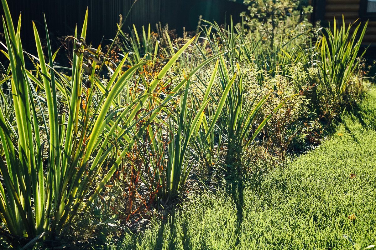 Русские Забавы