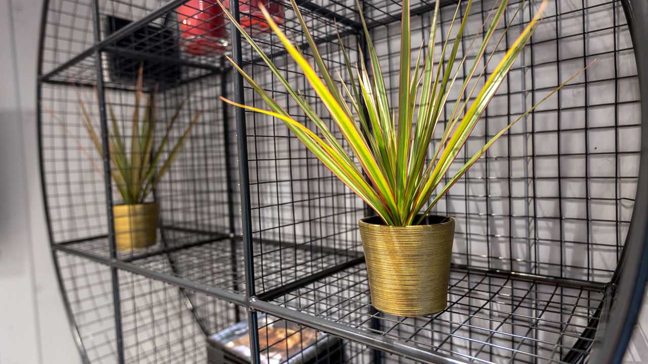 Загородный дом на Новой Риге