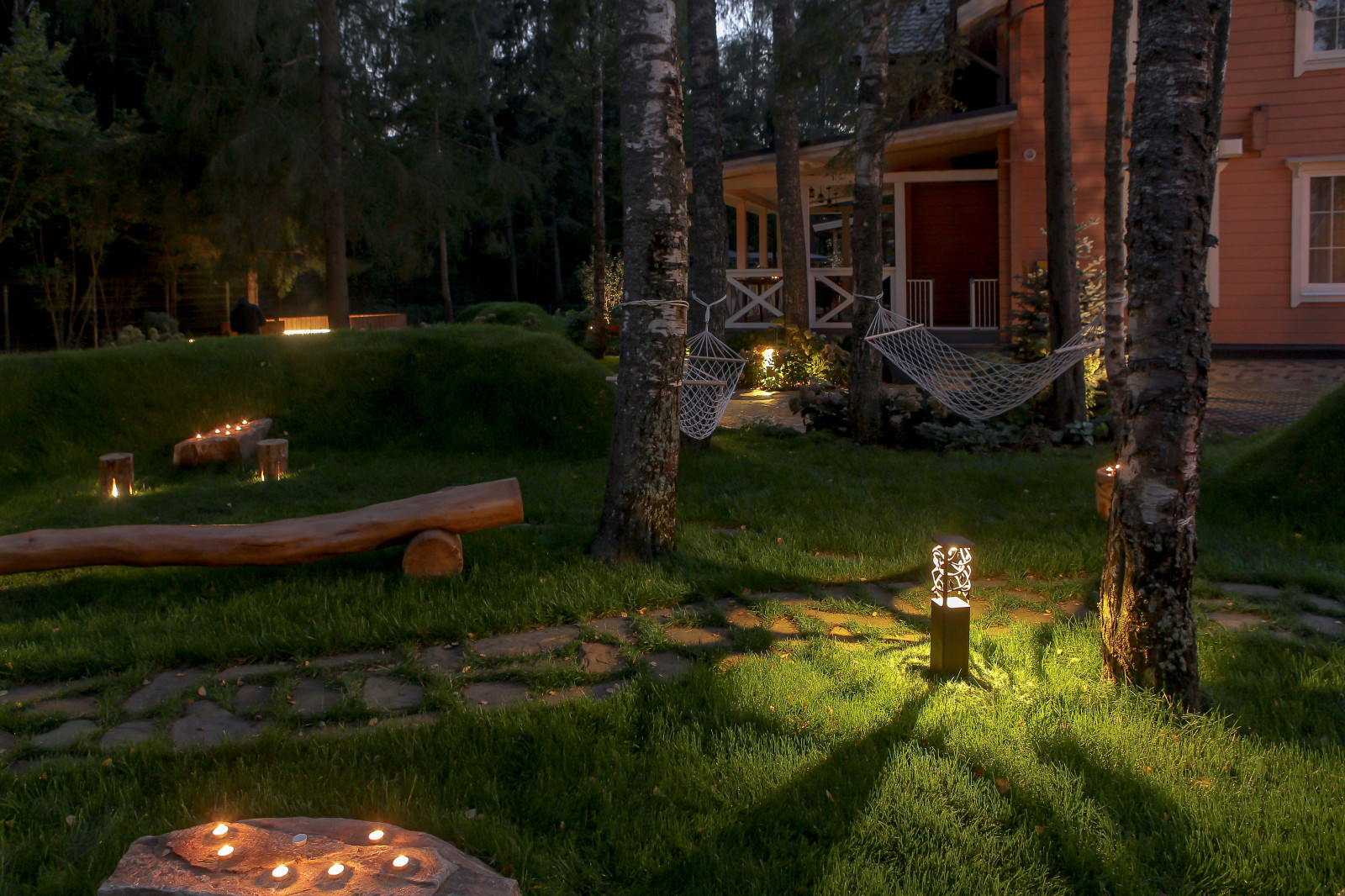 Обложка проекта: Сказочный лес