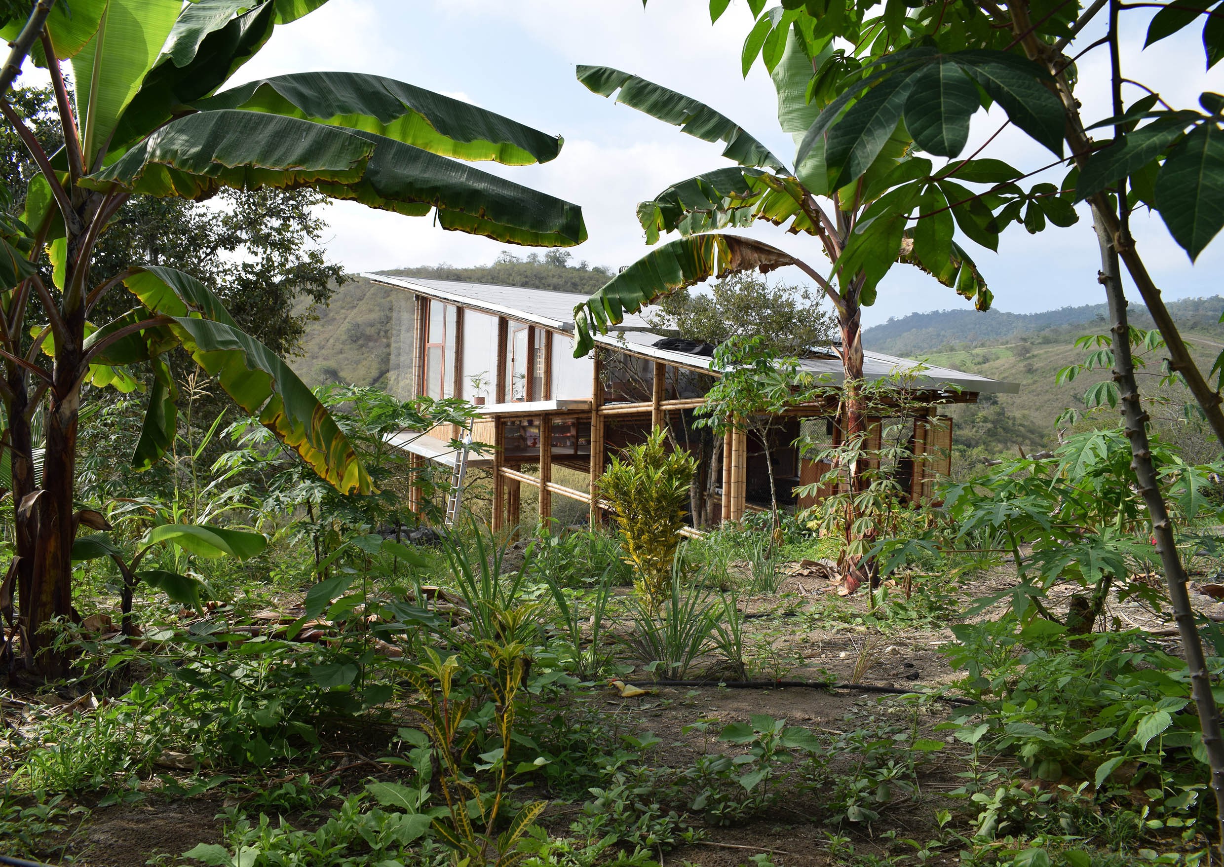 Архитектура: Домик с наклонным полом в Эквадоре