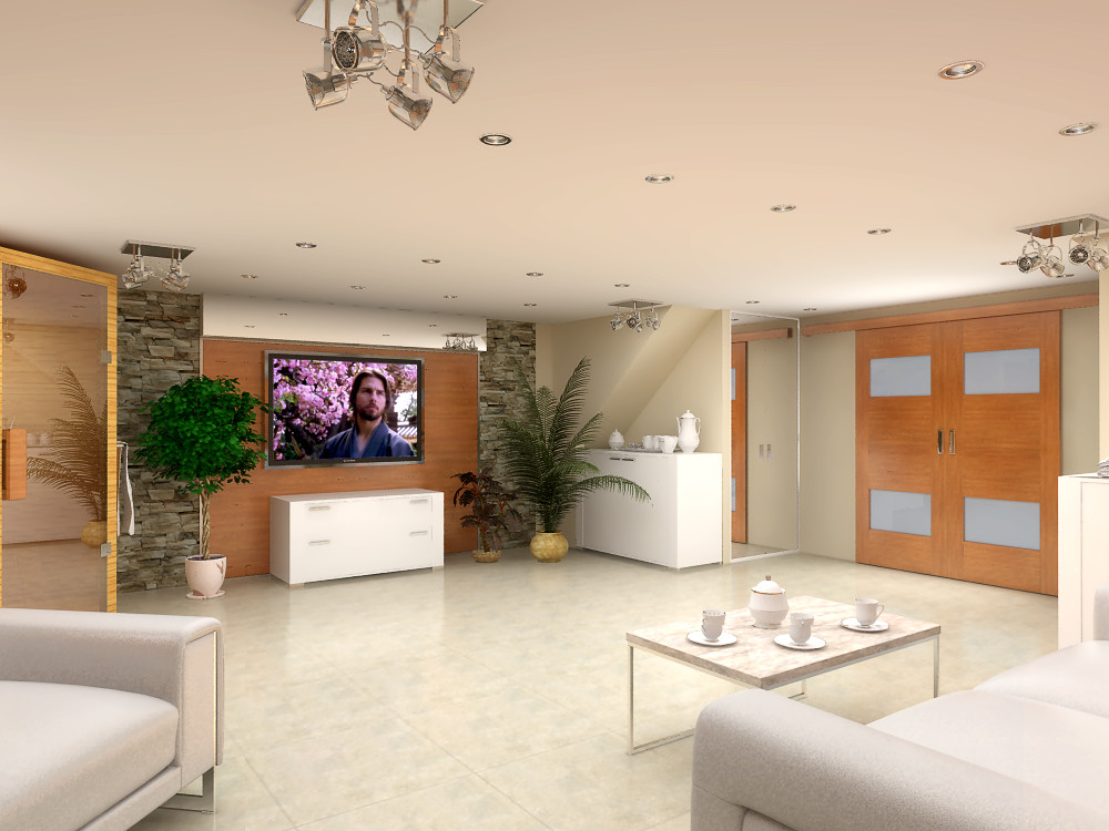 Обложка проекта: Зона отдыха и спа в поселке Тиммолово в Ленинградской области