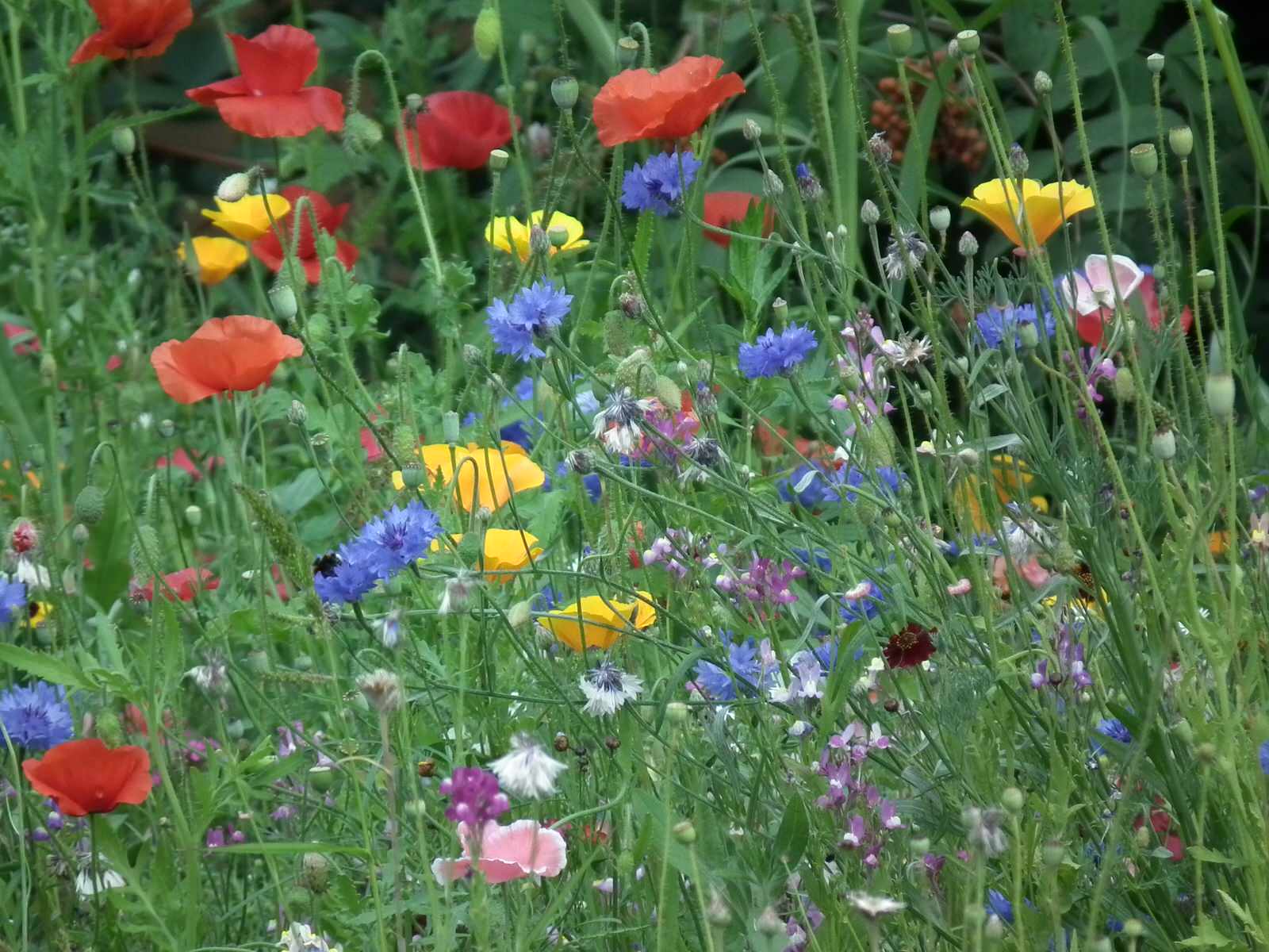 Выполненные работы