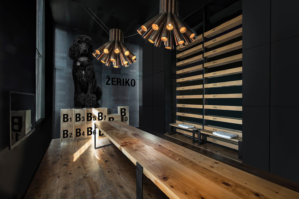 Обложка проекта: Школа Ромиса Бемса