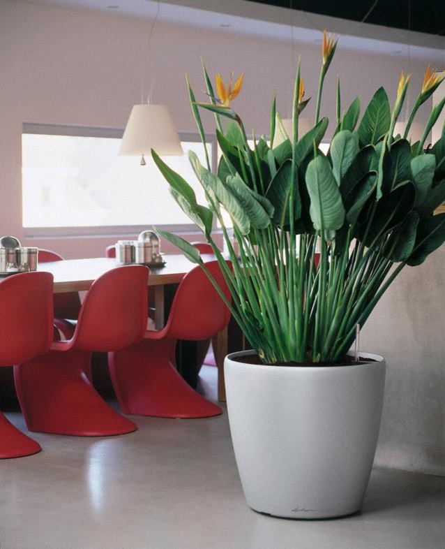 Неподвласные времени