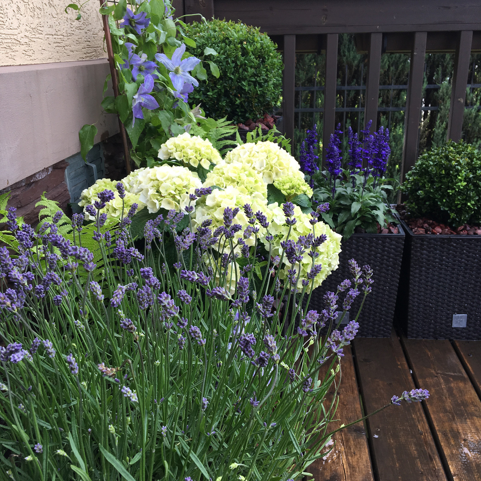 Летний сад на террасе