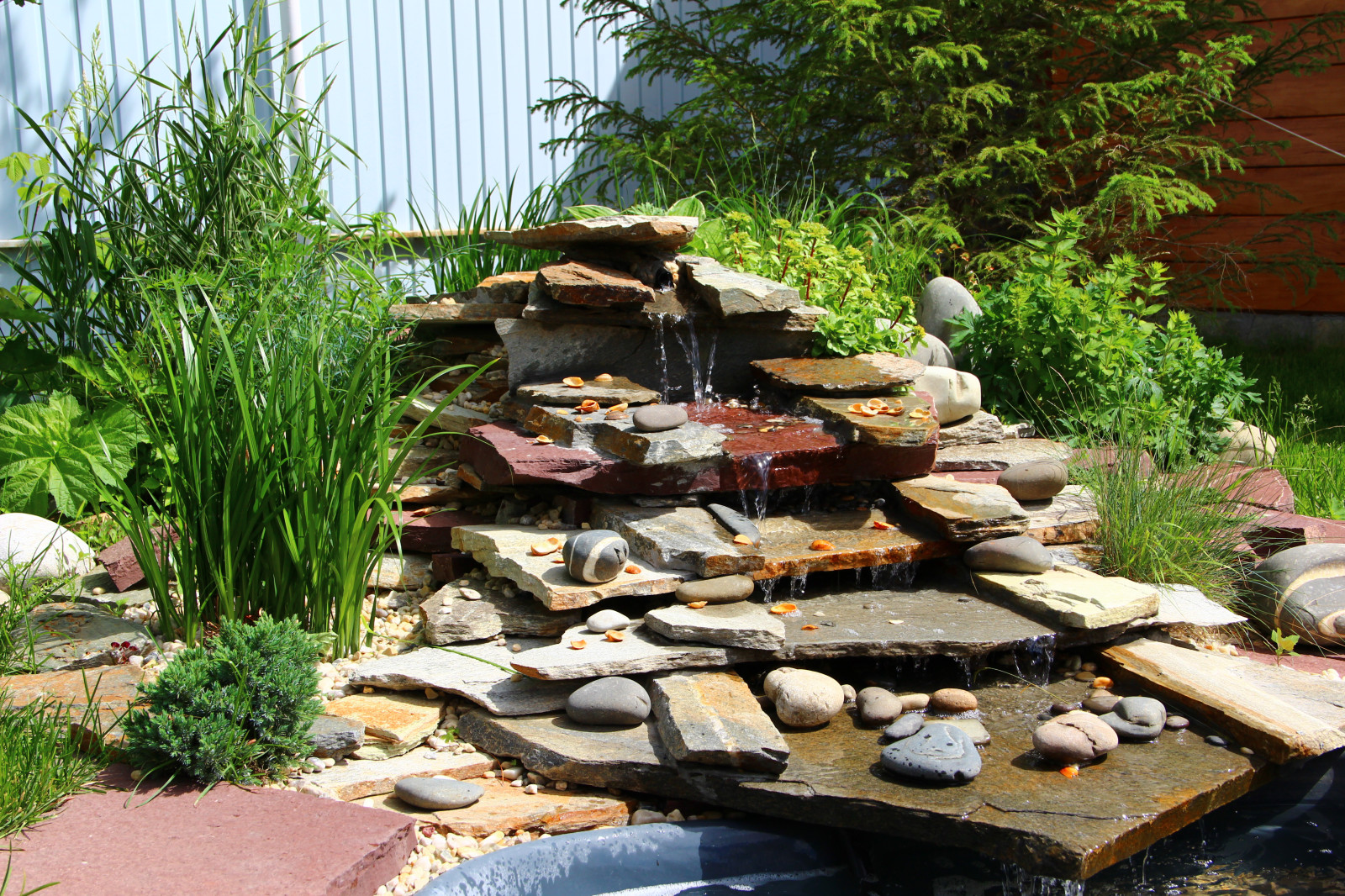 Озеленение под ключ от Ландшафт74