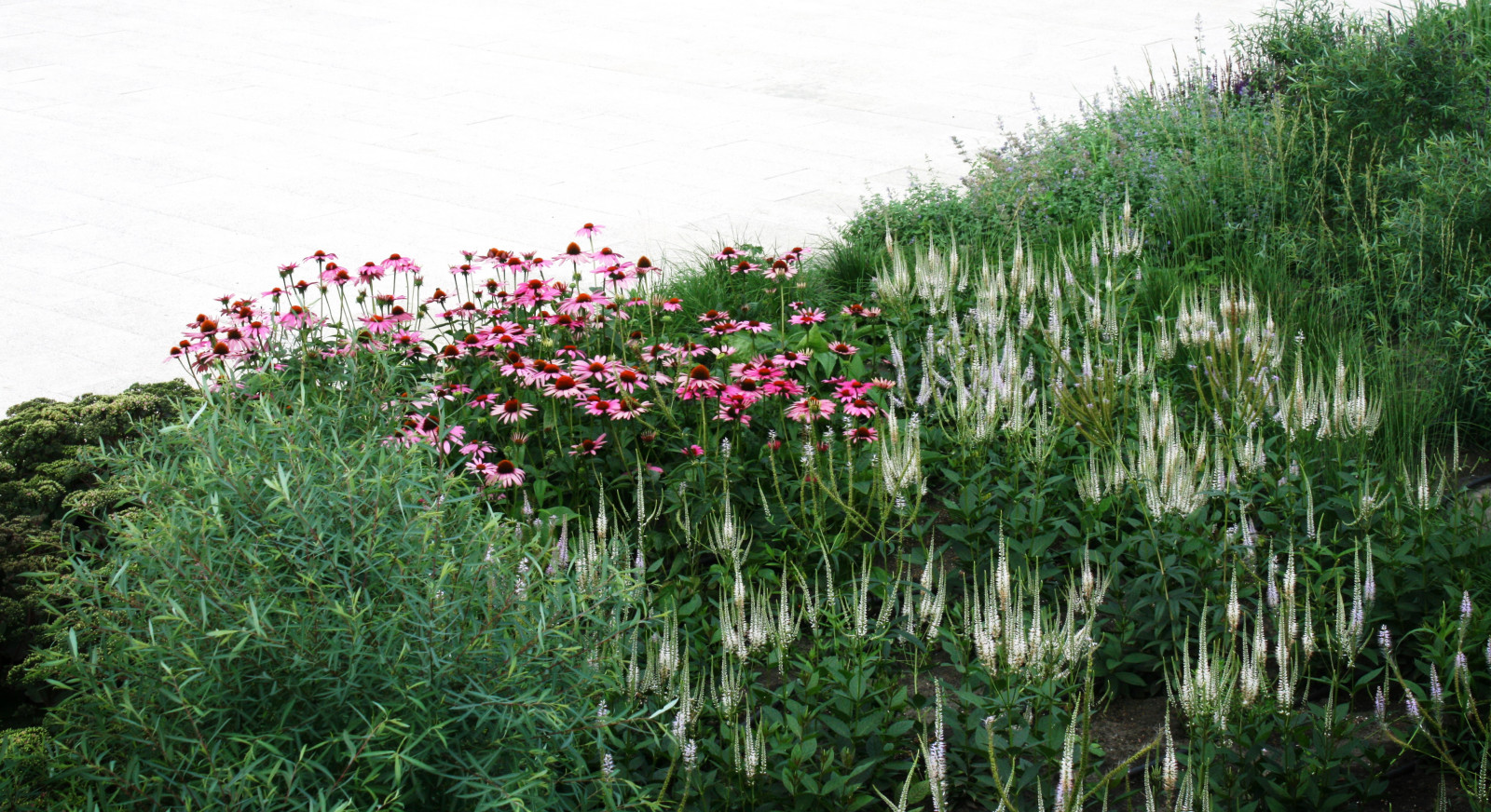 Цветники Советской площади