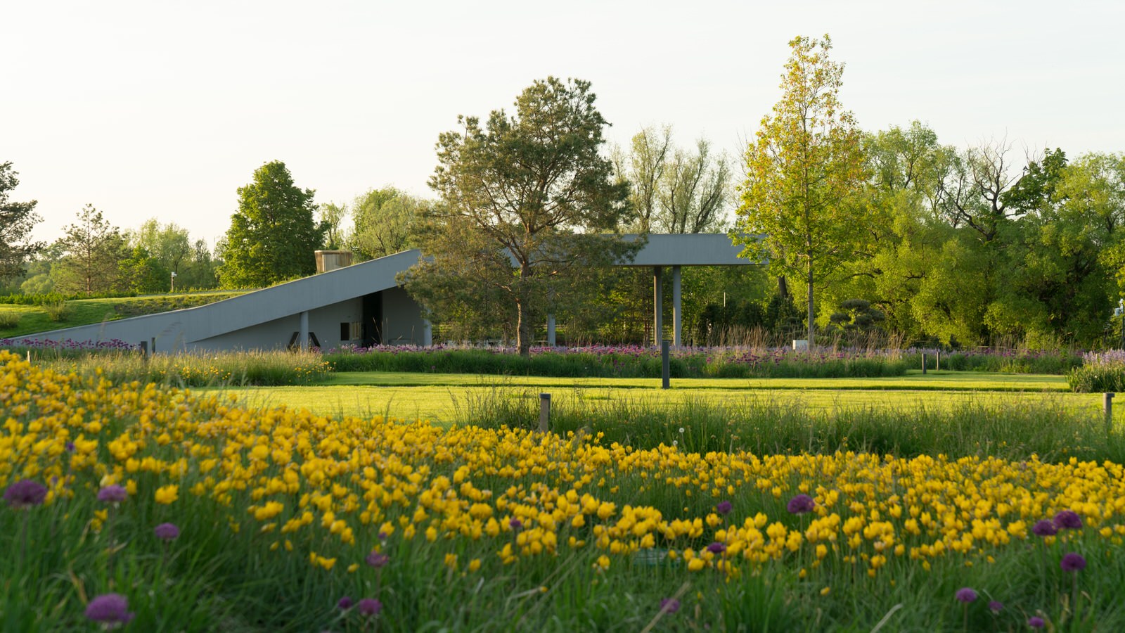 Обложка альбома: Луковичные в саду