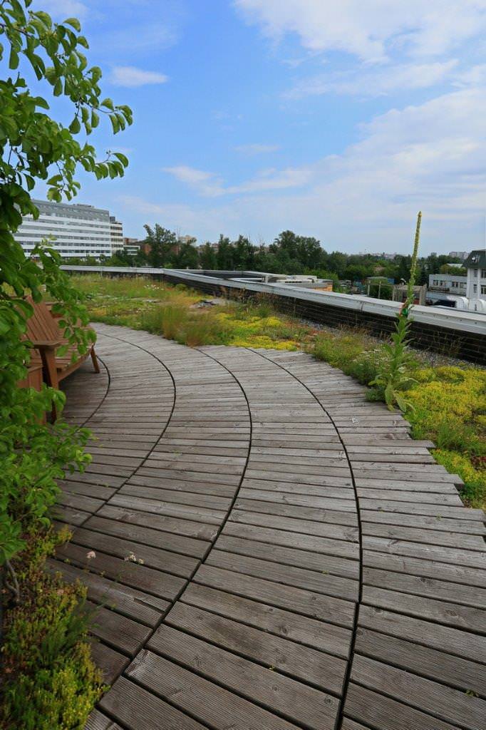 Сад на крыше